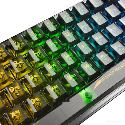 Fizz (прозрачный/черный)