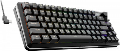 Flekact Pro (черный)