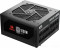 RGPS-1000W 71811