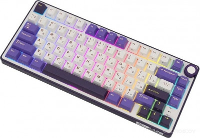 R75 RGB Blackberry (RK Brown)