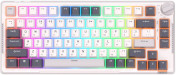 RK-H81 RGB (белый, RK Cyan)