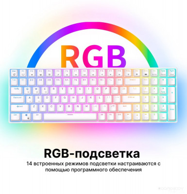 RK100 RGB (белый, RK Brown)