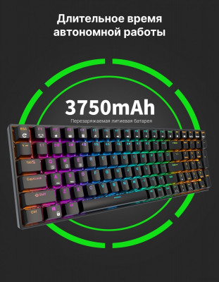 RK100 RGB (черный, RK Brown)