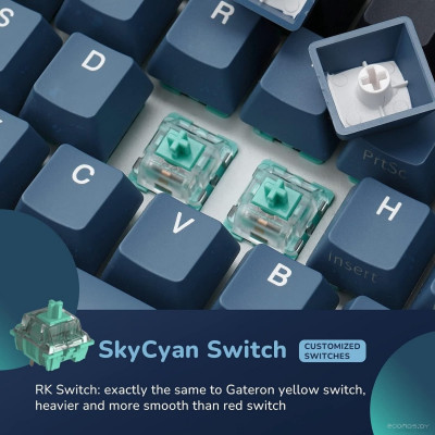 RK61 Plus RGB (черный, RK Brown)