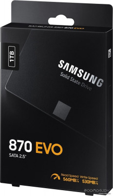 870 Evo 1TB MZ-77E1T0BW