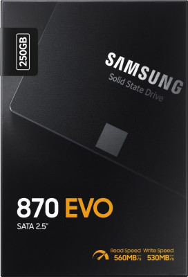 870 Evo 250GB MZ-77E250BW