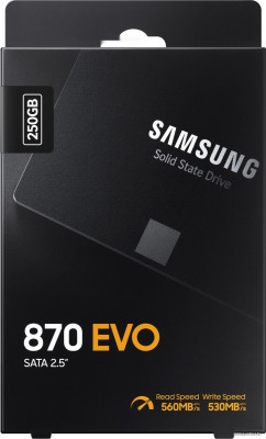 870 Evo 250GB MZ-77E250BW