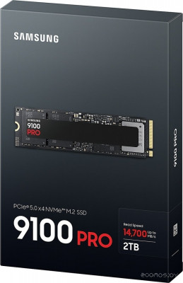 9100 Pro 2TB MZ-VAP2T0BW