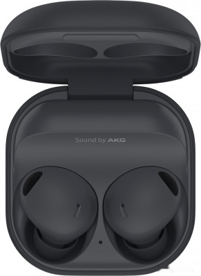 Galaxy Buds 2 Pro (графитовый)