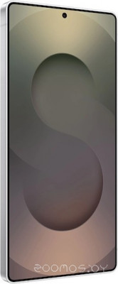 Galaxy S25 Ultra SM-S938B 12GB/1TB (серебряный титан)