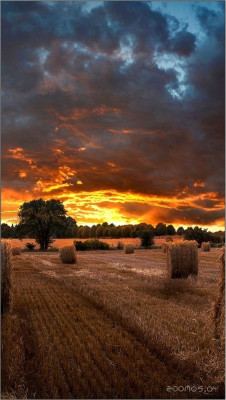 VM46B-U LH46VMBUBGBXCI