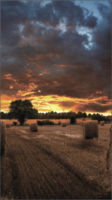 VM46T-U LH46VMTUBGBXCI