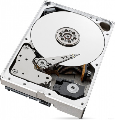 Skyhawk 10TB [ST10000VX0004]