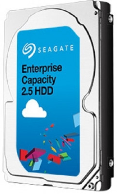 Enterprise Capacity 1TB (ST1000NX0333)