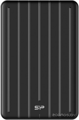 Bolt B75 Pro 1TB SP010TBPSD75PSCK