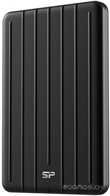 Bolt B75 Pro 1TB SP010TBPSD75PSCK