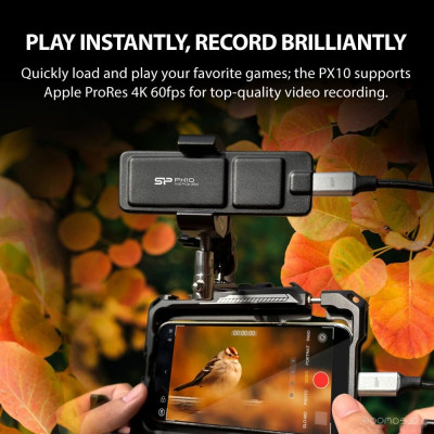 PX10 512GB SP512GBPSDPX10CK