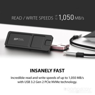 PX10 512GB SP512GBPSDPX10CK