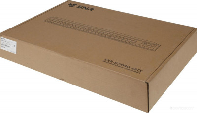 SNR-S2989G-48TX-POE