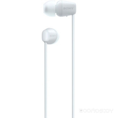 WI-C100 (белый)