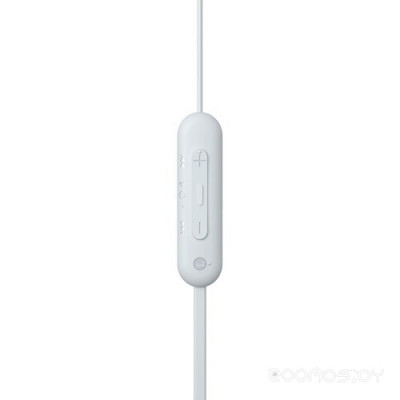 WI-C100 (белый)