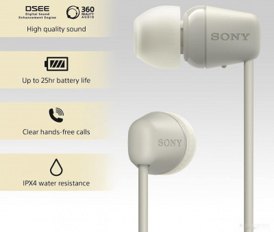 WI-C100 (бежевый)