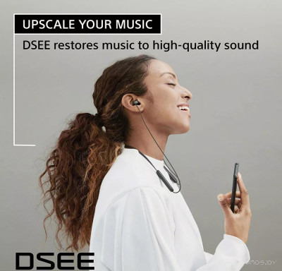 WI-C100 (черный)