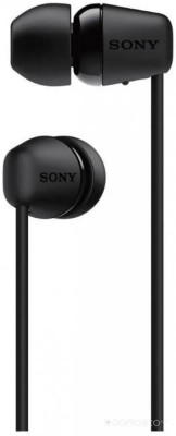 WI-C100 (черный)