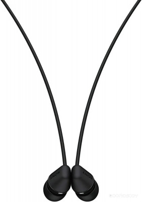 WI-C100 (черный)