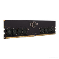 Elite 8ГБ DDR5 5600 МГц TED58G5600C4601
