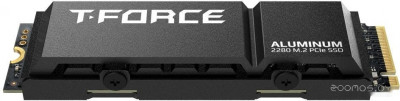 T-Force G70 Pro 1TB TM8FFH001T0C128