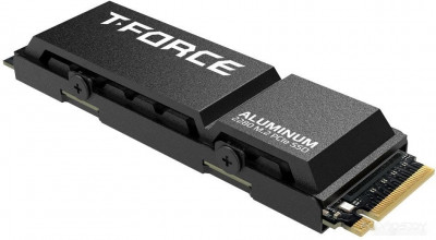 T-Force G70 Pro 1TB TM8FFH001T0C128