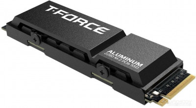 T-Force G70 Pro 2TB TM8FFH002T0C128