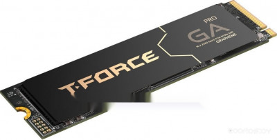 T-Force GA PRO 1TB TM8FFJ001T0C129