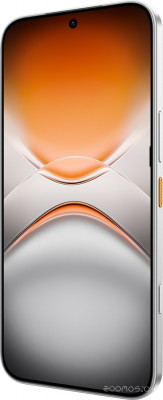 Pova 8 Pro 5G LK7 12GB/256GB (серебристый)