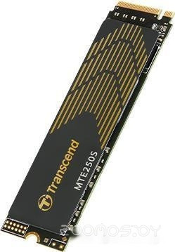 250S 1TB TS1TMTE250S