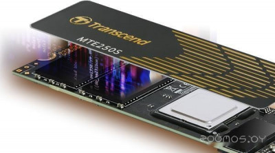 250S 1TB TS1TMTE250S