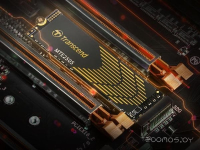 250S 1TB TS1TMTE250S