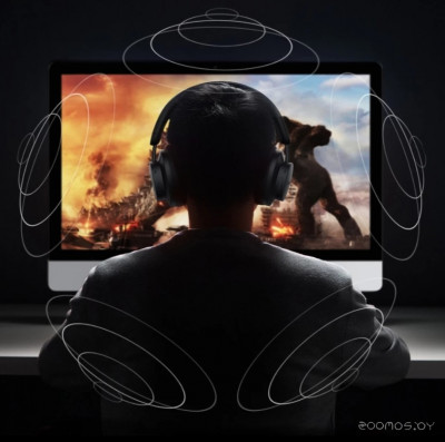 HiTune Max 3 (черный)