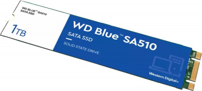 Blue 1TB WDS100T3B0B