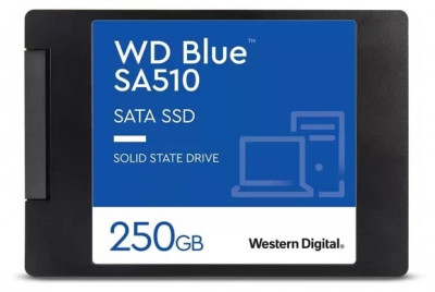 Blue SA510 250GB WDS250G3B0A