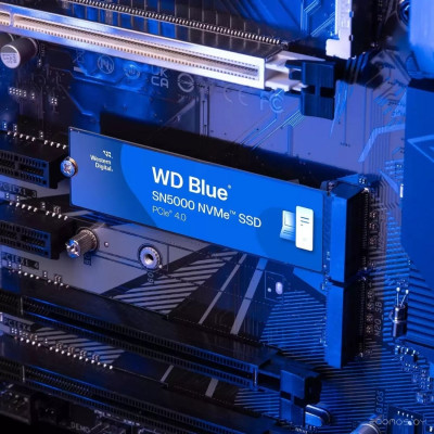 Blue SN5000 1TB WDS100T4B0E
