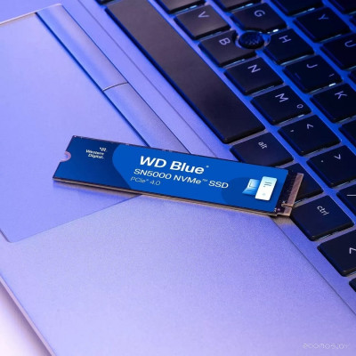 Blue SN5000 1TB WDS100T4B0E