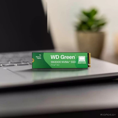Green SN3000 1TB WDS100T4G0E