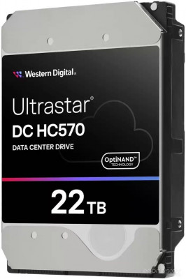 Ultrastar DC HC570 22TB WUH722222AL5204