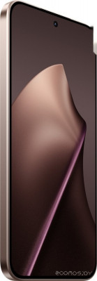 15T 12GB/256GB международная версия (розовое золото)