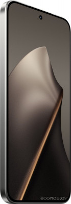 15T 12GB/256GB международная версия (серый)