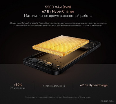 15T 12GB/512GB международная версия (черный)