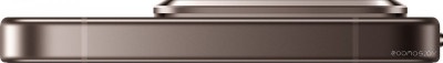 15T Pro 12GB/512GB международная версия (золотистый мокко)