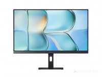 A24i 2026 (P24FDA-RAGL)
